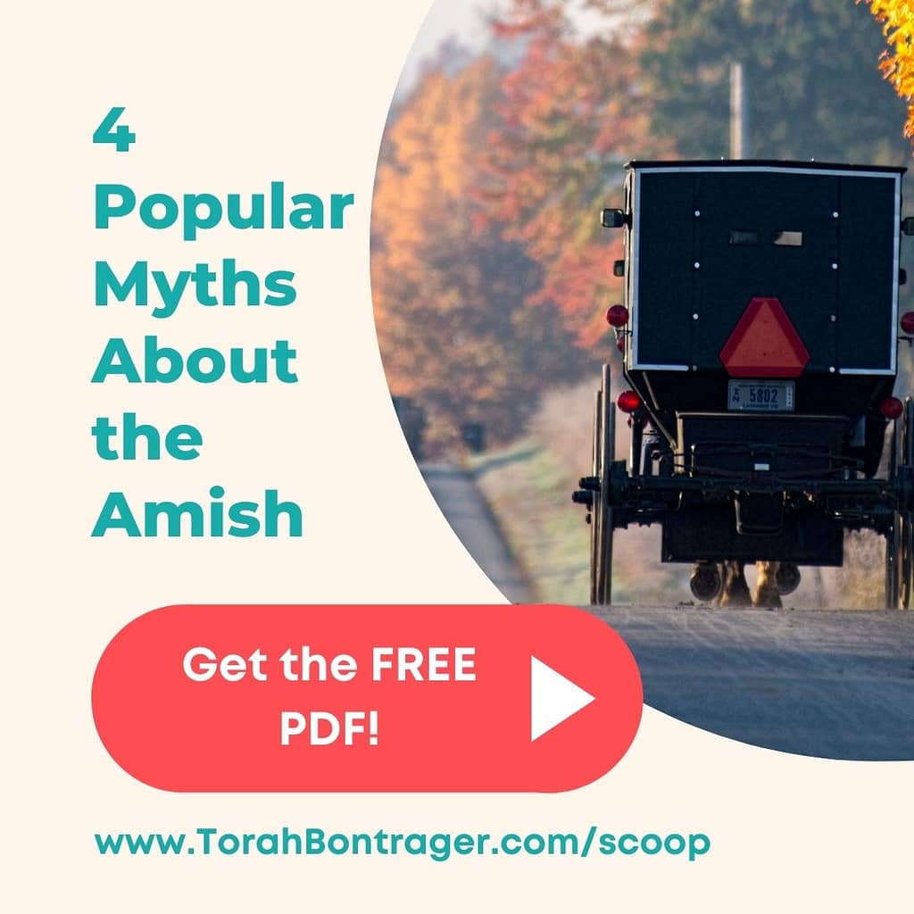 Get the news + 4 Popular Myths About the Amish