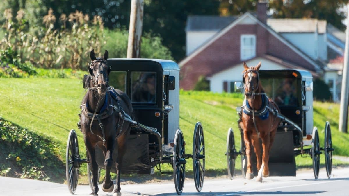 3 Reasons Why Technology Is Forbidden in the Amish