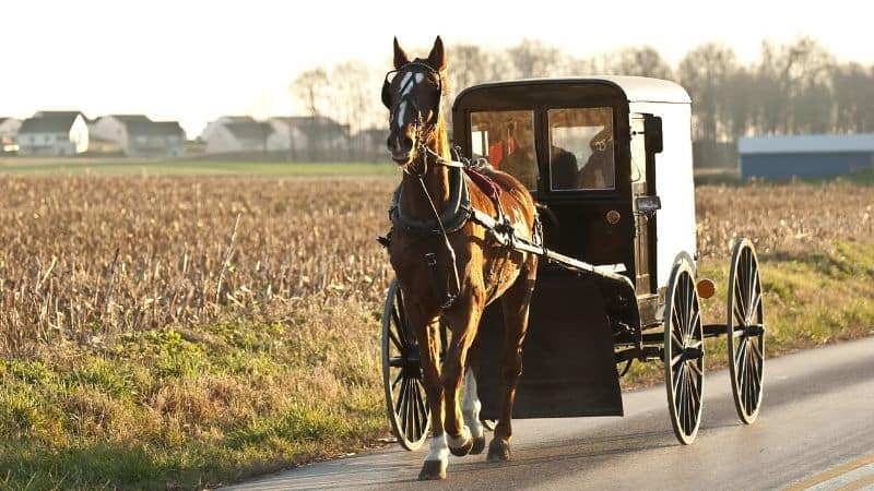 4 Popular Myths About the Amish That Every Person Should Stop Believing