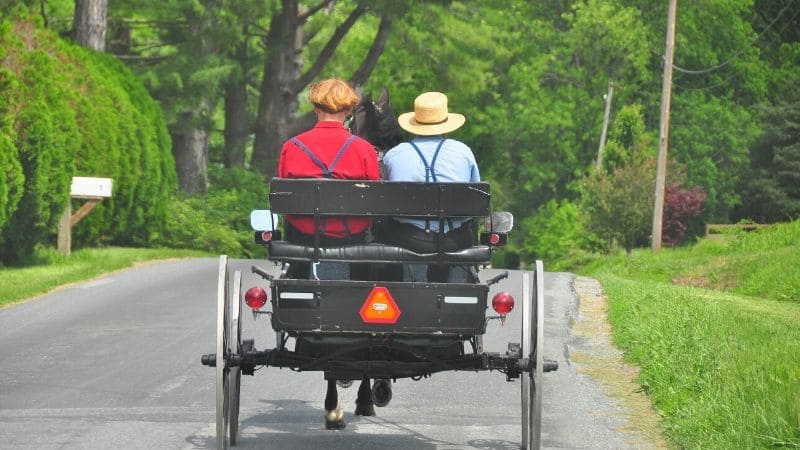 4 Popular Myths About the Amish That Every Person Should Stop Believing (Part 2)