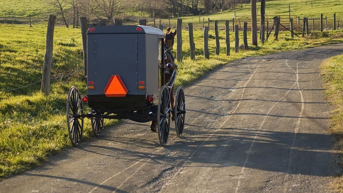 This Is Your One-Sentence Guide to Amish Culture and Religion