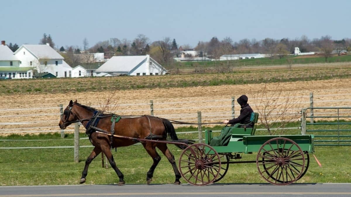 What Really Is Rumspringa in the Amish?